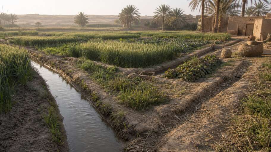 Mesopotamia’s green lesson between two rivers