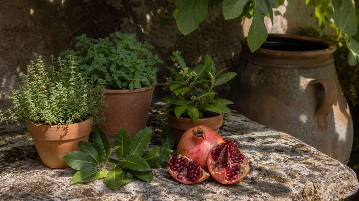 Ancient Greek gardens, myth, shade, and useful plants