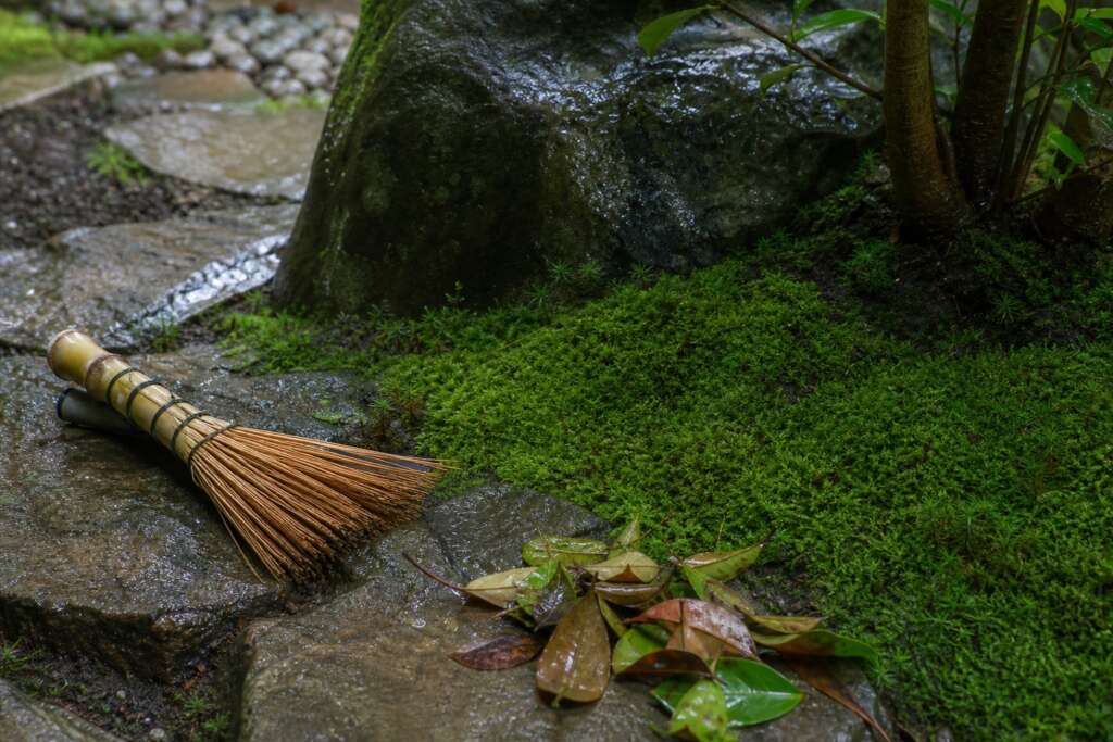 A bamboo hand broom beside damp moss and freshly cleared leaves in a shaded garden.