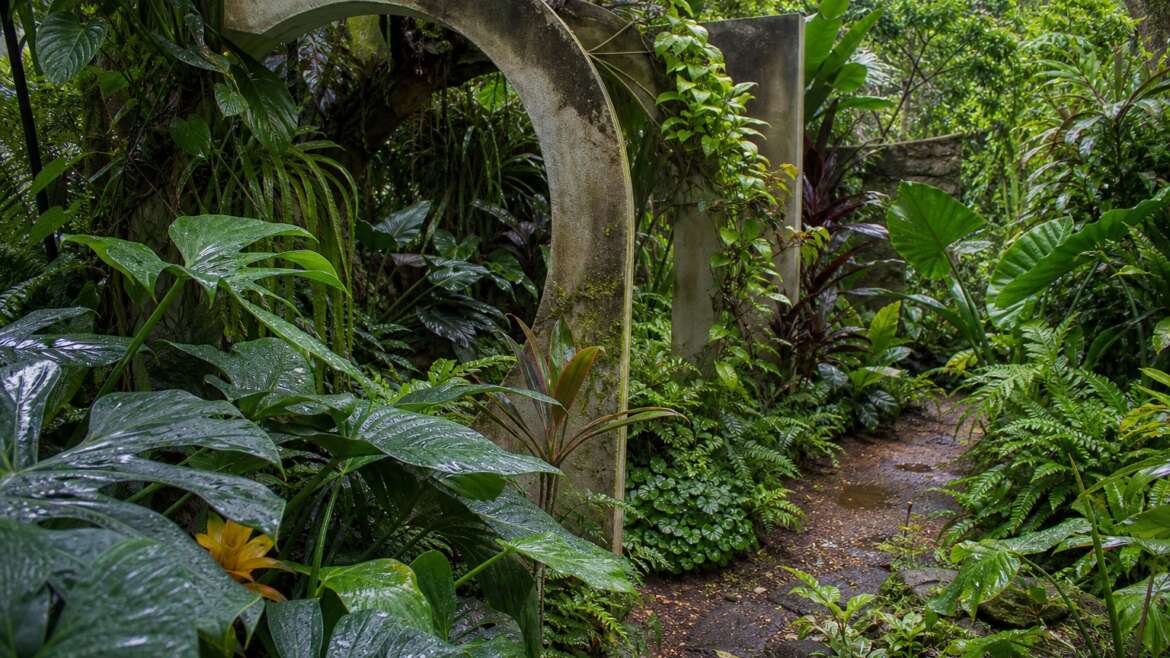 Dream gardens unearthed