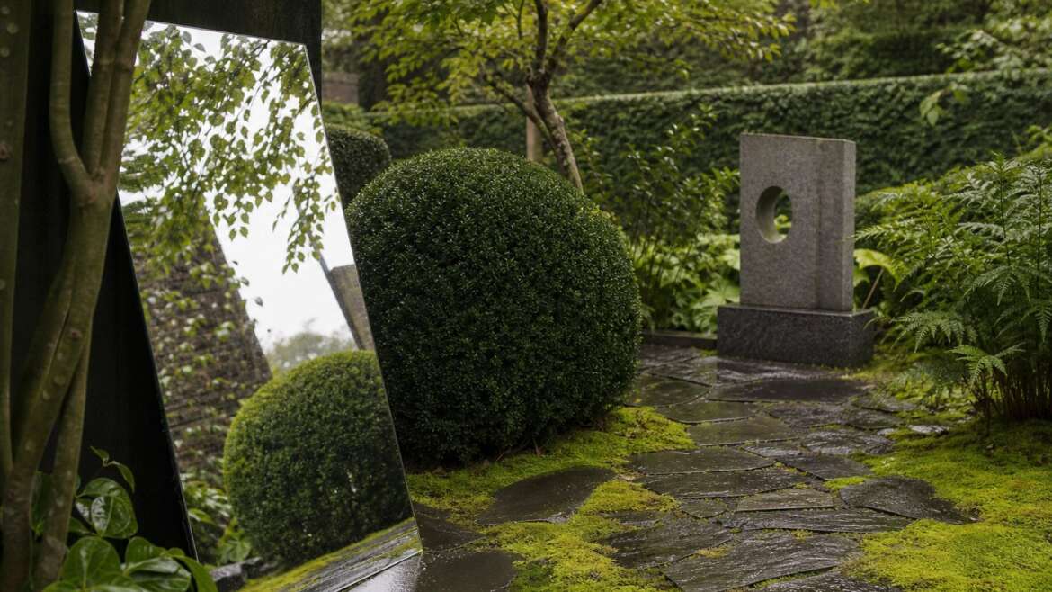 Keeping a surrealist garden alive after the dream