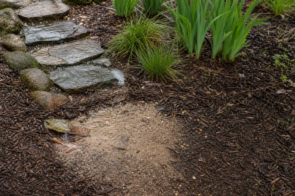 Fine sediment and displaced mulch at a stone-lined rain garden inlet after rain.
