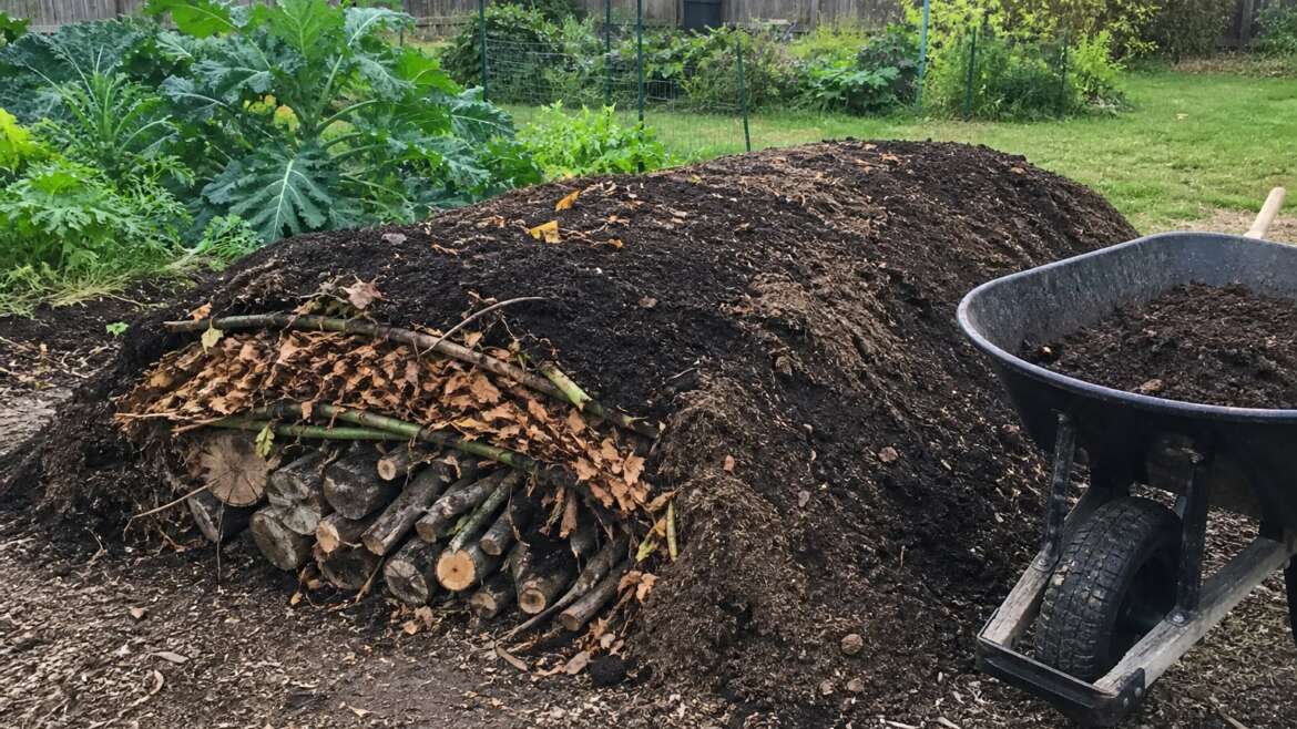 Hugelkultur 101, with fewer myths and better soil sense