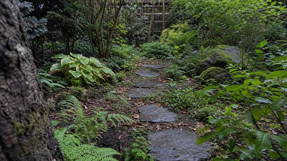 How fantasy games can inspire a real garden
