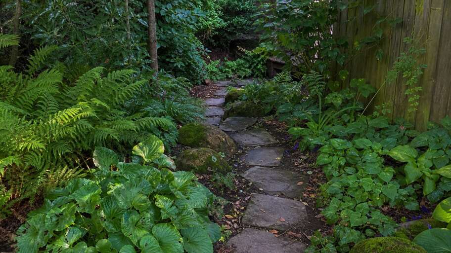 How fantasy games can inspire a real, living garden