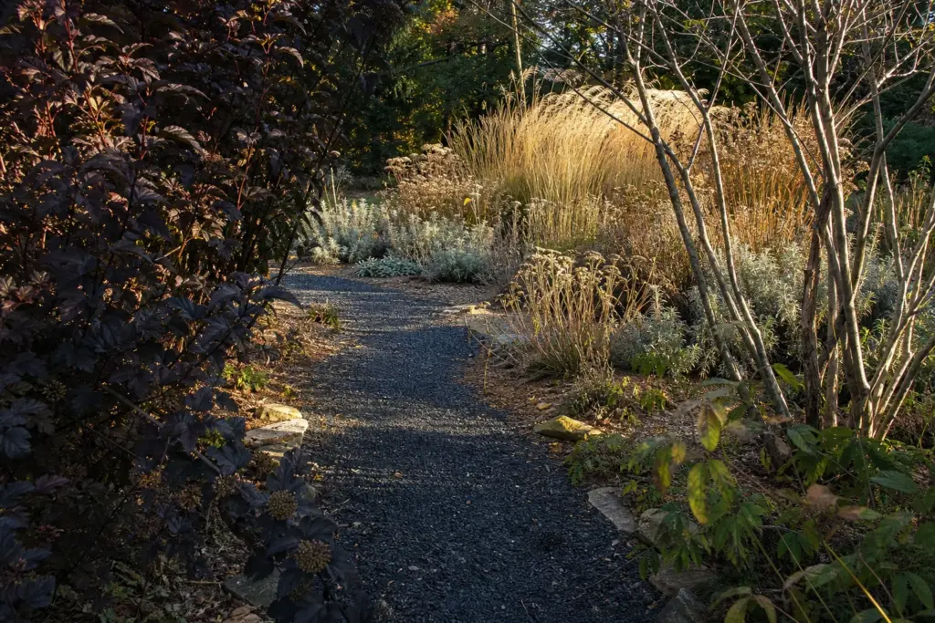 A charcoal gravel path curves from dark foliage toward sunlit grasses and pale seedheads.