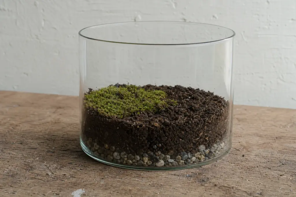 Side view through a straight glass mossarium showing a shallow pebble reservoir, dark growing mix, and a sparse patch of moss.