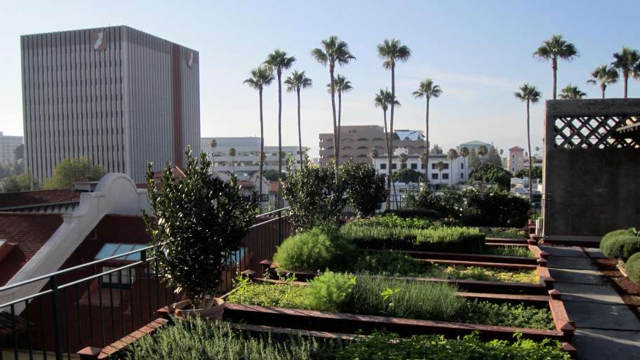 Sky-High Gardens: Unlock Your Rooftop’s Green Potential
