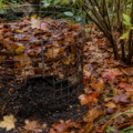 The quiet work of fallen leaves