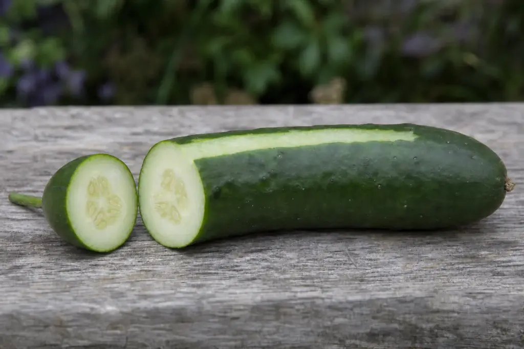 Cut cucumber with its stem end removed and a narrow strip of dark green peel exposed on a wooden garden bench.