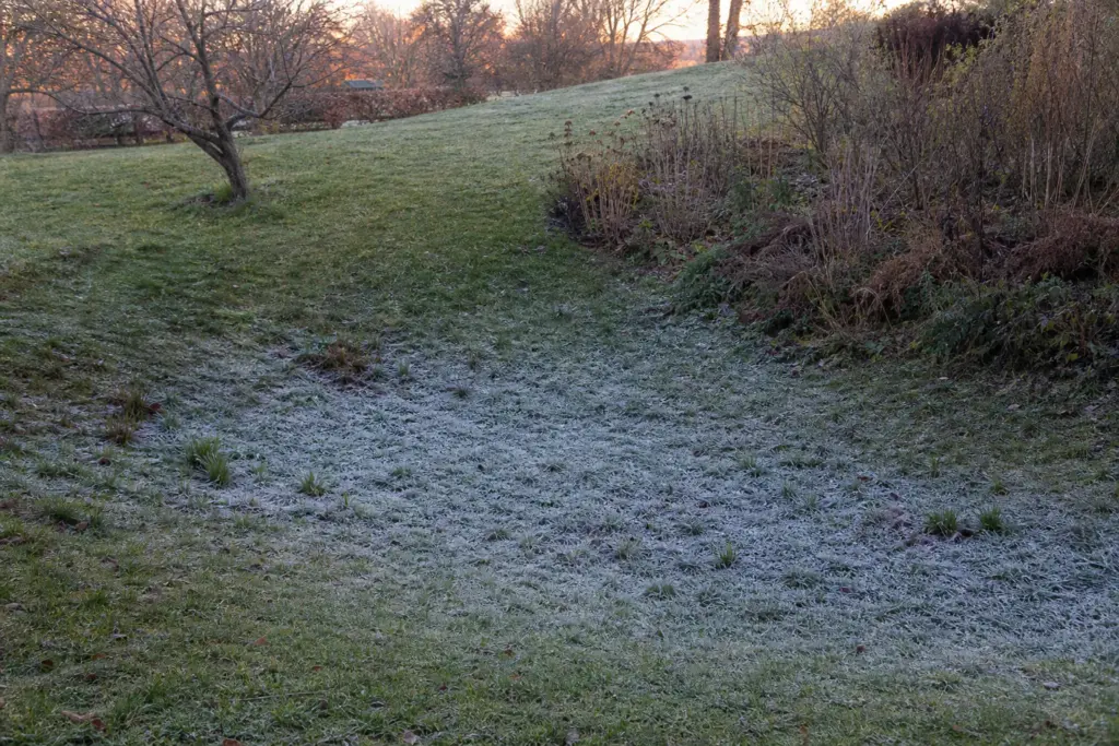 Patchy frost concentrated in a shallow garden hollow while the upper slope remains greener.