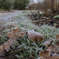 Why frost appears above freezing