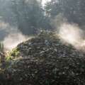 Why compost piles steam on cold mornings