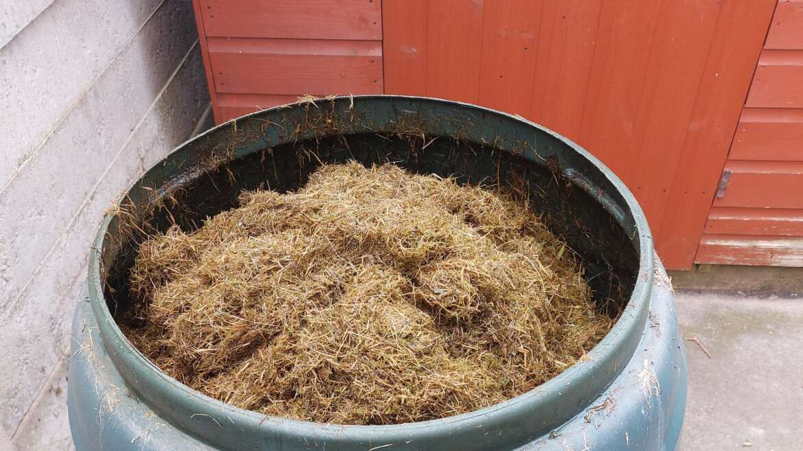 Why compost piles steam on cold mornings