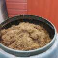 Why compost piles steam on cold mornings