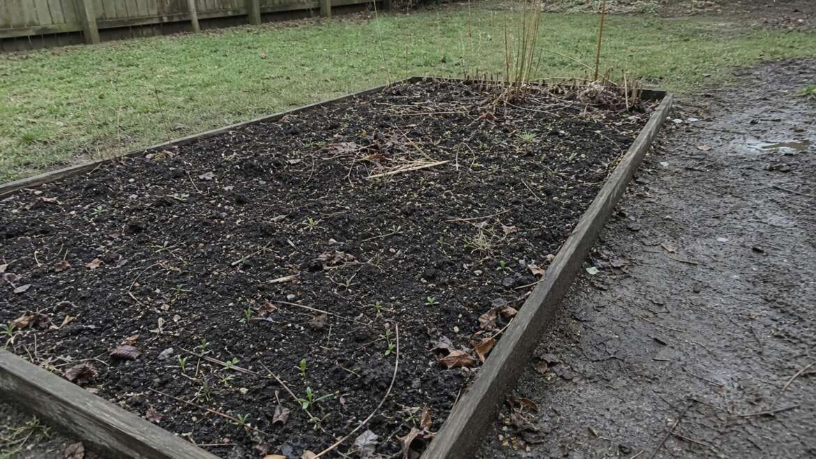 The garden’s hidden new year is a seed bank