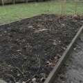 The garden’s hidden new year is a seed bank
