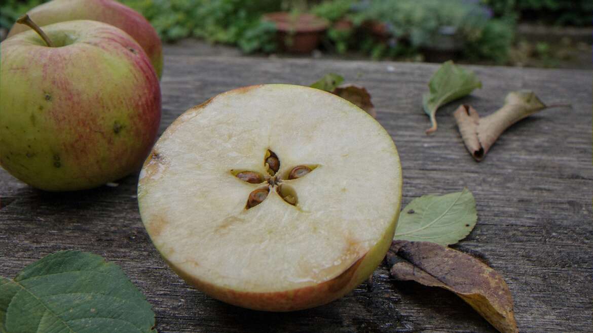 The star hidden inside an apple