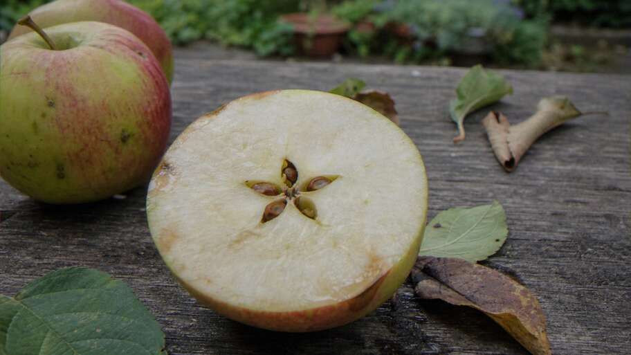 The star hidden inside an apple