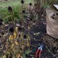 Your spotless fall garden is not the virtue you think it is