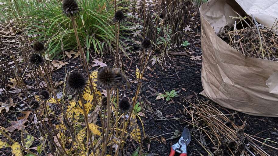 Your spotless fall garden is not the virtue you think it is