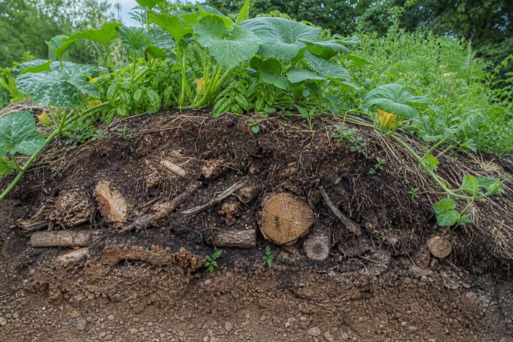A cutaway hugelkultur mound reveals decaying wood, compost, soil, roots, and vegetables above.