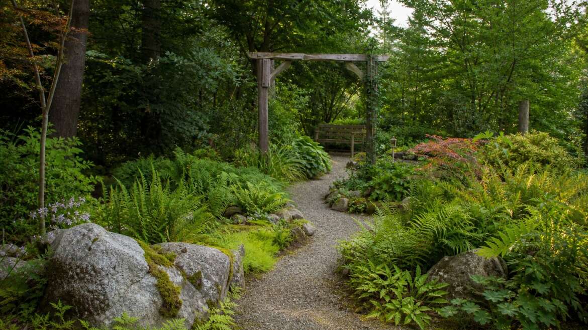 Designing a game-inspired garden that still works