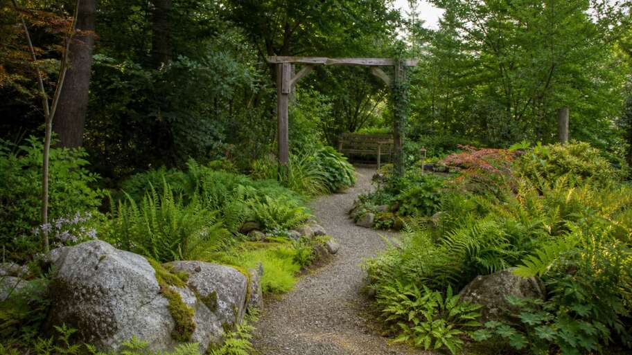 Designing a game-inspired garden that still works