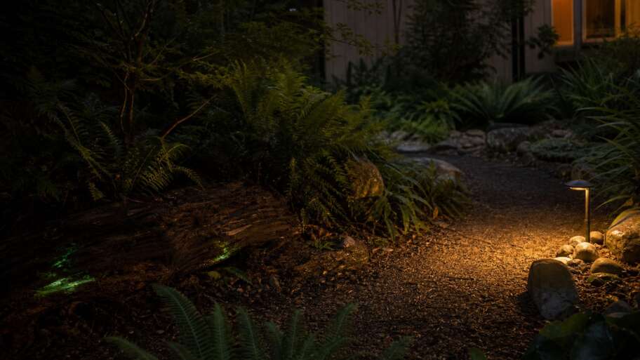 Designing a Bioluminescent Garden: What Actually Works