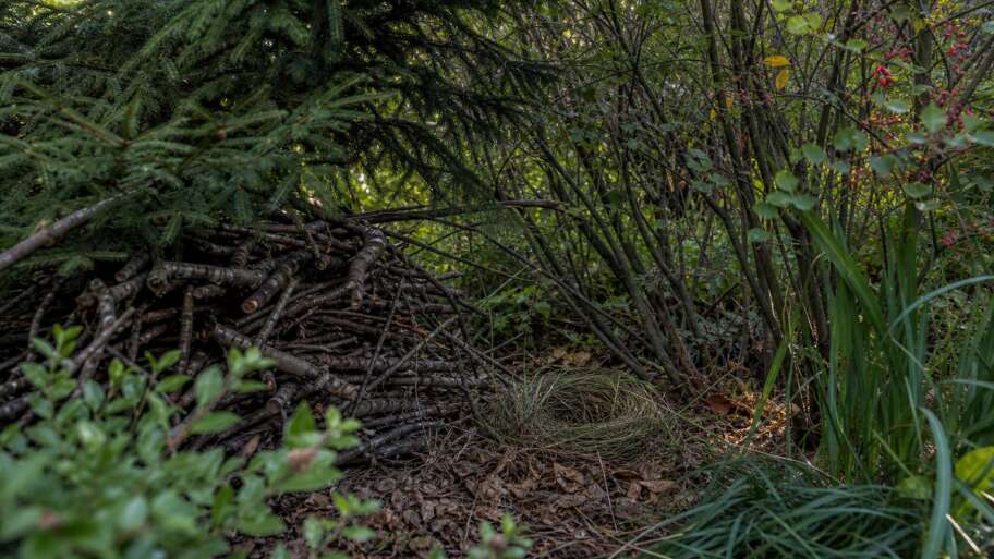 Shelter is the bird garden’s quiet architecture