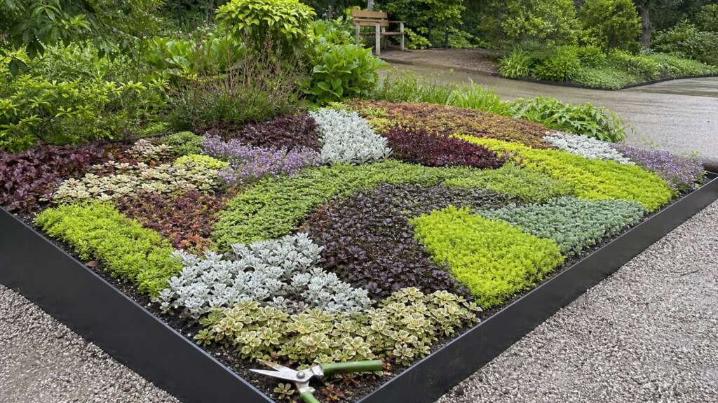 A compact mosaiculture bed planted in curved patches of silver, burgundy, chartreuse, and green foliage.