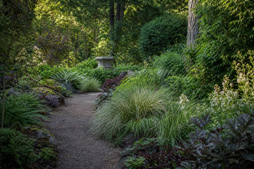 A woodland garden path edged with repeated grasses, shrubs, ferns, and a stone urn as a focal point.